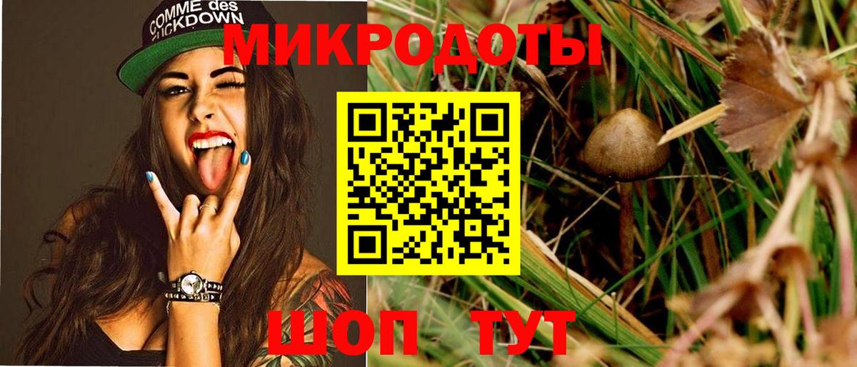 Галлюциногенные грибы GOLDEN TEACHER  Псилоцибиновые грибы мухоморы  Тосно  Вход с VPN 